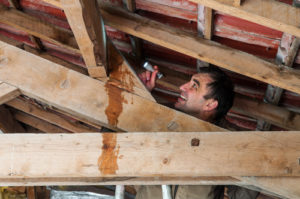 fotolia_108153731-roofleaks