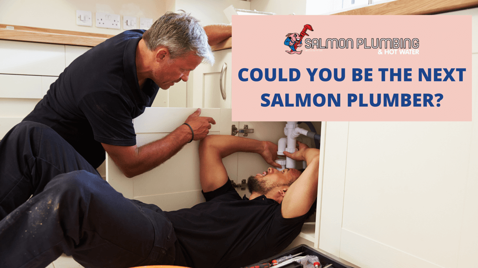 salmon plumbing brisbane recruiting careers