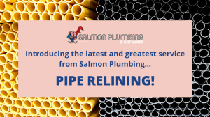 salmon plumbing pipe relining brisbane