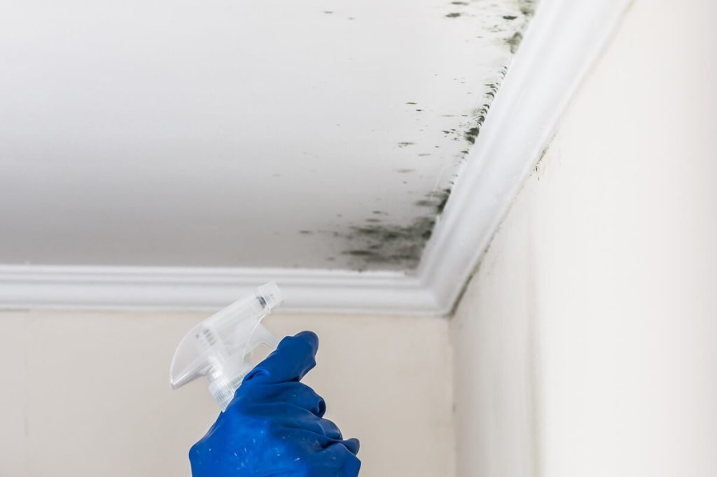 Mould on ceiling potentially caused by problem plumbing like roof leaks, broken gutters, or leaky pipes