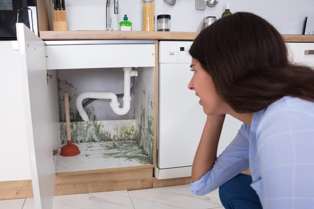 Woman with a mould and mildew problem under her sink - caused by a plumbing fault