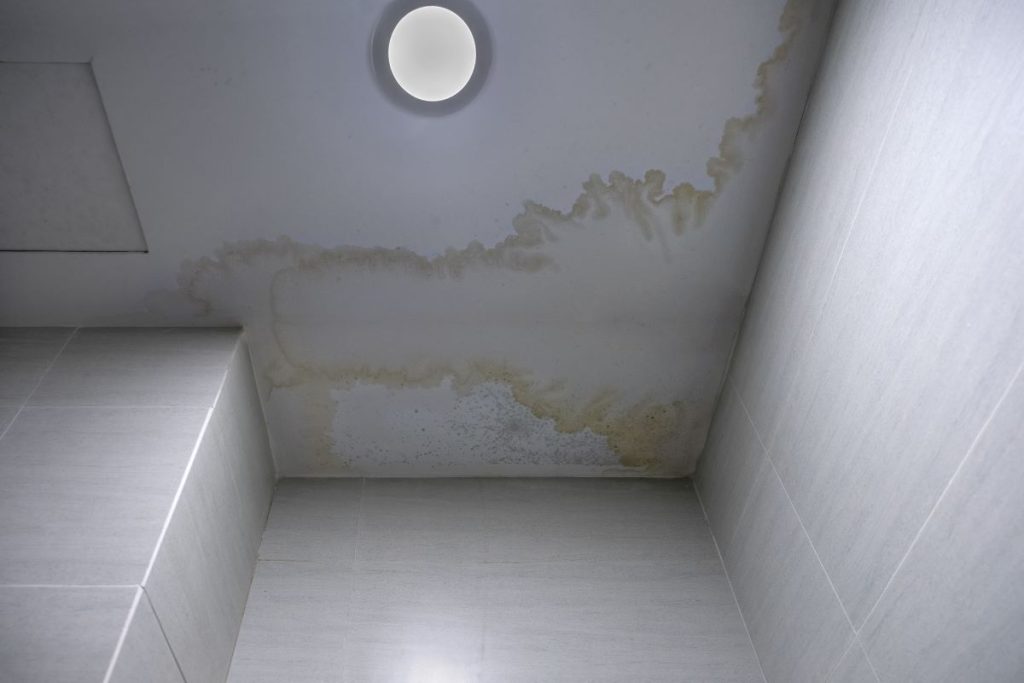 Evidence of dripping sound in ceiling - watermarks and mould on bathroom ceiling